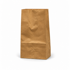 Paper Carry Out Bag – Kraft, Multiple Sizes (#2, #4, #8, #12, #20), 500CT