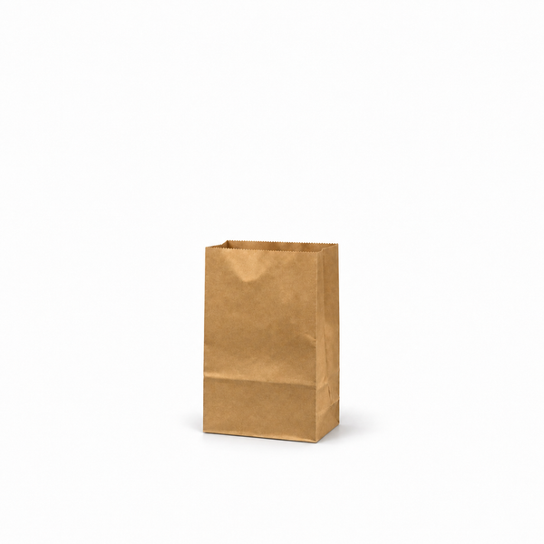 Paper Carry Out Bag – Kraft, Multiple Sizes (#2, #4, #8, #12, #20), 500CT