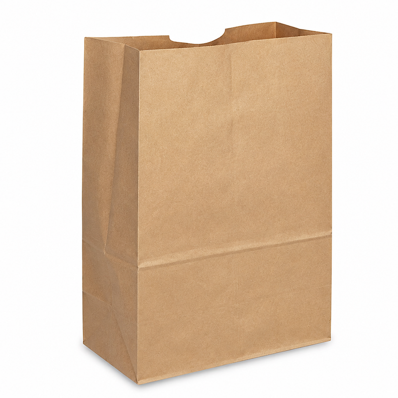 Paper Carry Out Bag – Kraft, Multiple Sizes (#2, #4, #8, #12, #20), 500CT