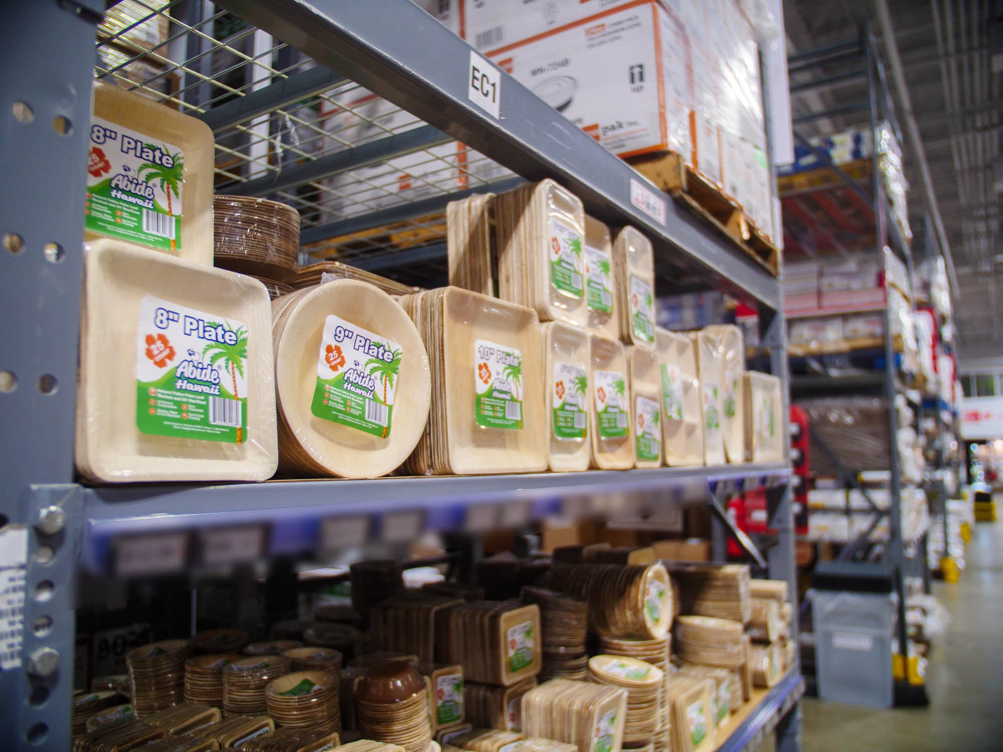 Palm Leaf Products – Abide Hawaii